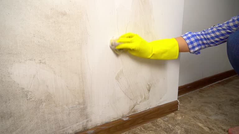 Best Commercial Mold Inspection  in Prague, OK